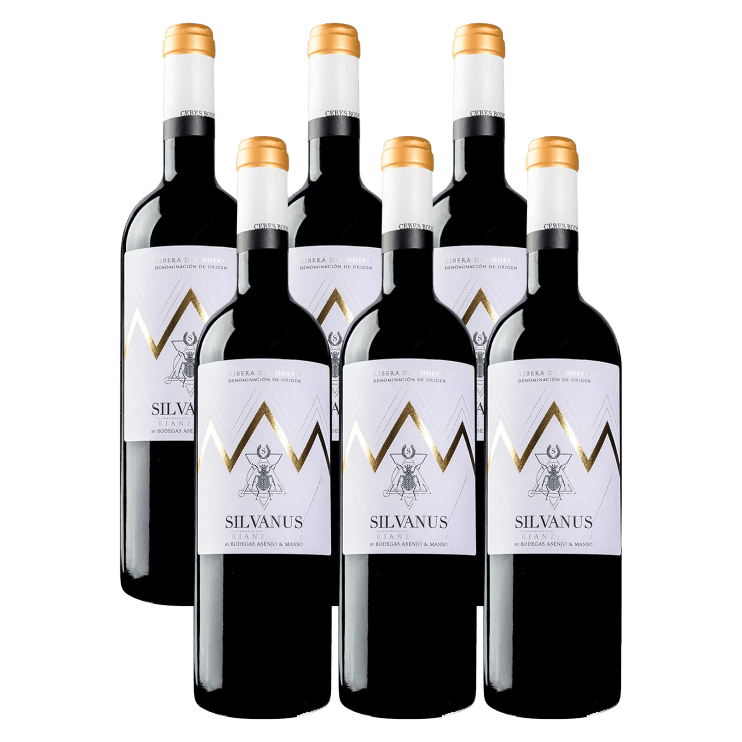 Bodegas Asenjo & Manso Silvanus 2022 Rødvin Red Wine 6 Whiskystack