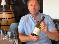 Buttercup Chardonnay Hvidvin